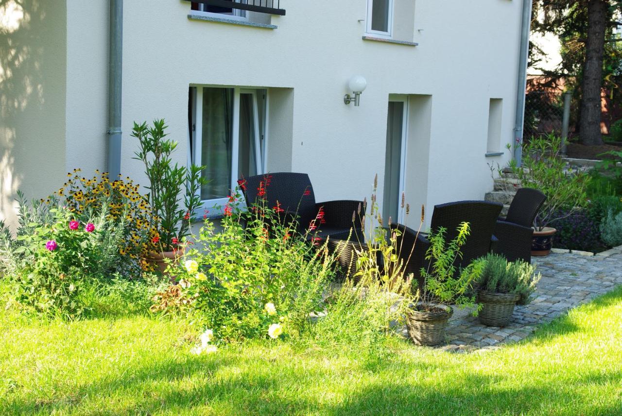 Neu Eingerichtetes Apartment #1 Mit Wlan !Sauna & Hot Tub Zubuchbar! Senftenberg Εξωτερικό φωτογραφία